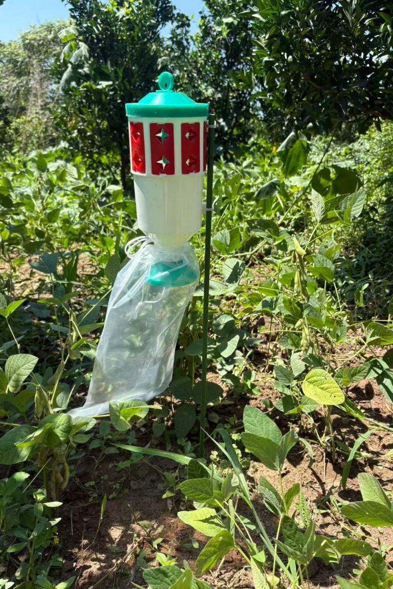 Beet Armyworm Pheromone Trap high quality
